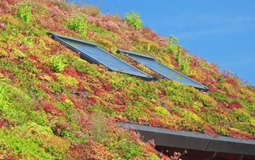 Camblesforth living roof systems